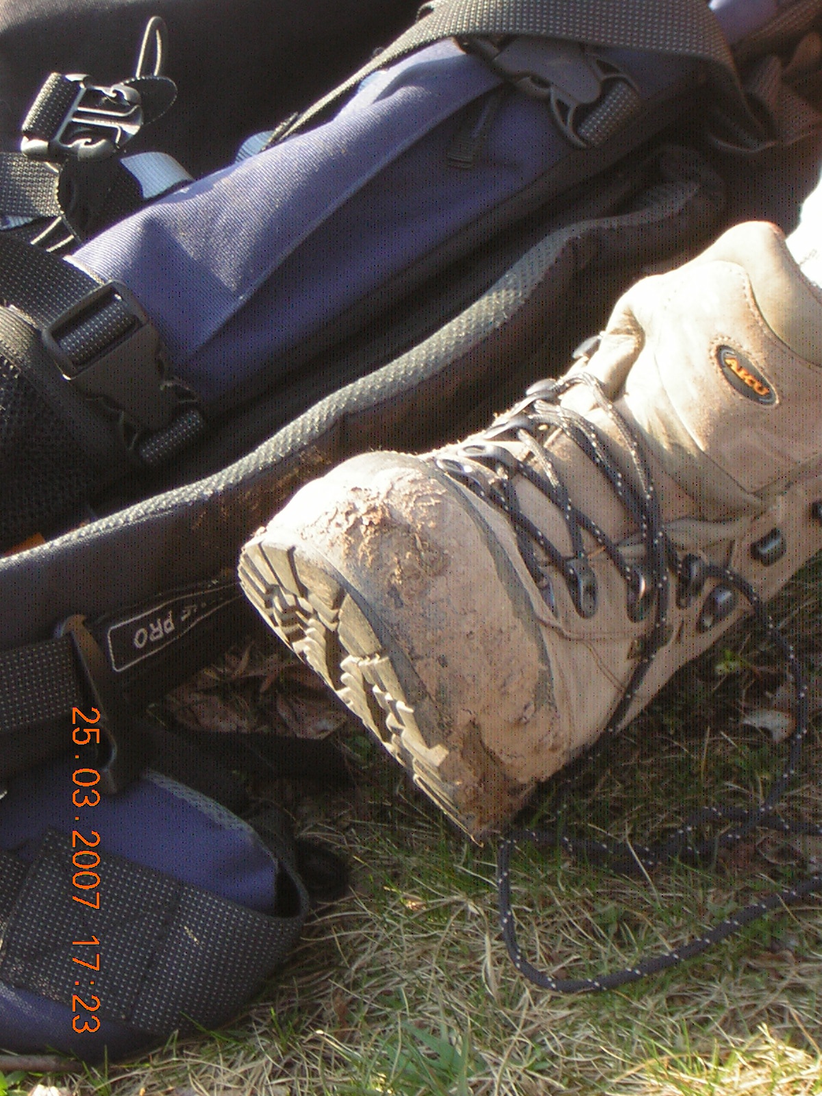 DSCN5058.jpg