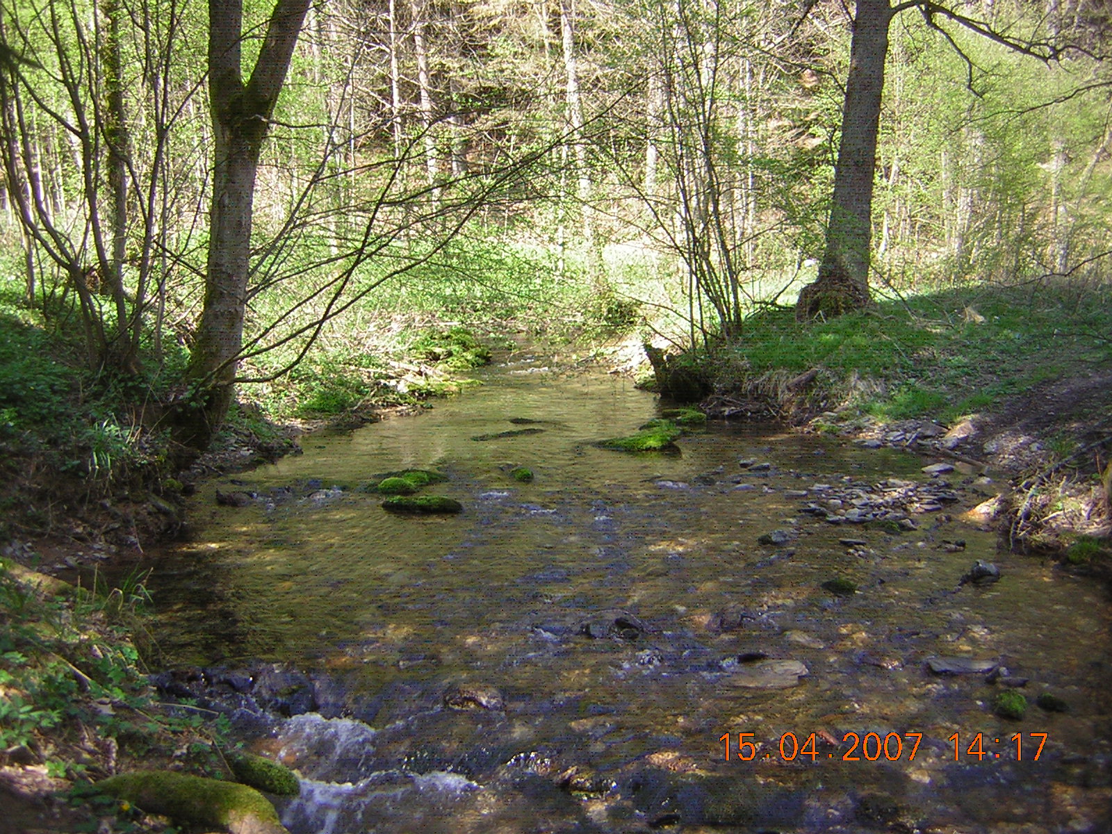 DSCN5706.JPG