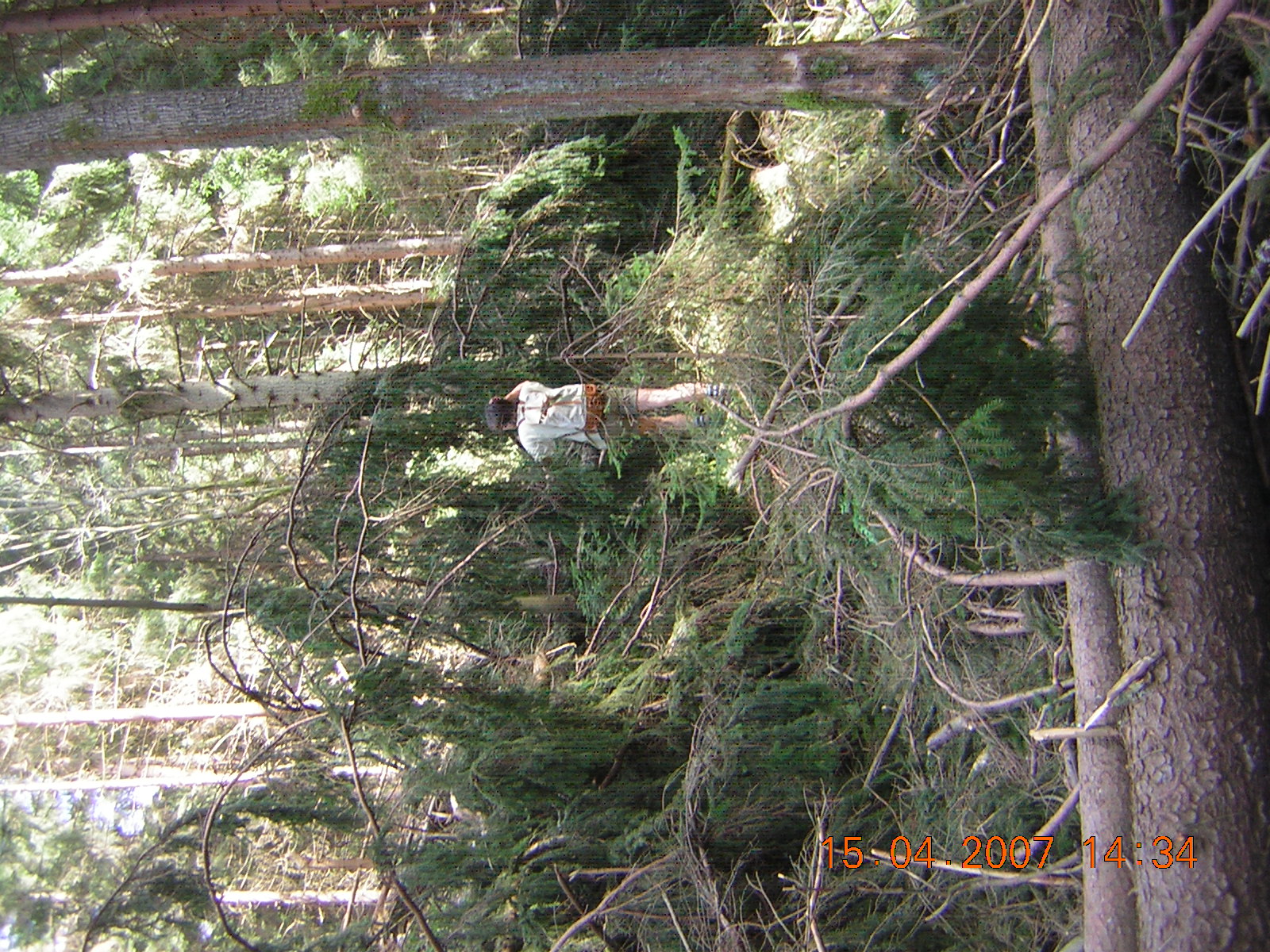 DSCN5716.JPG