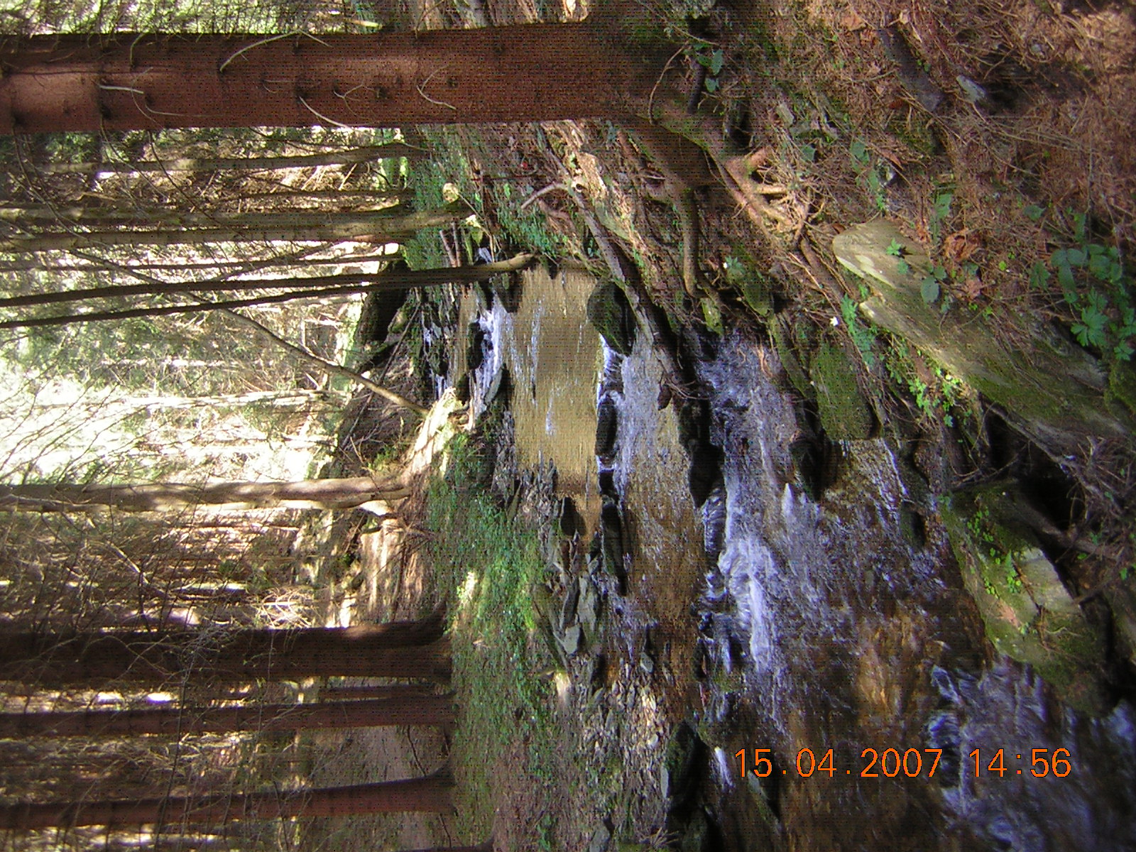 DSCN5733.JPG