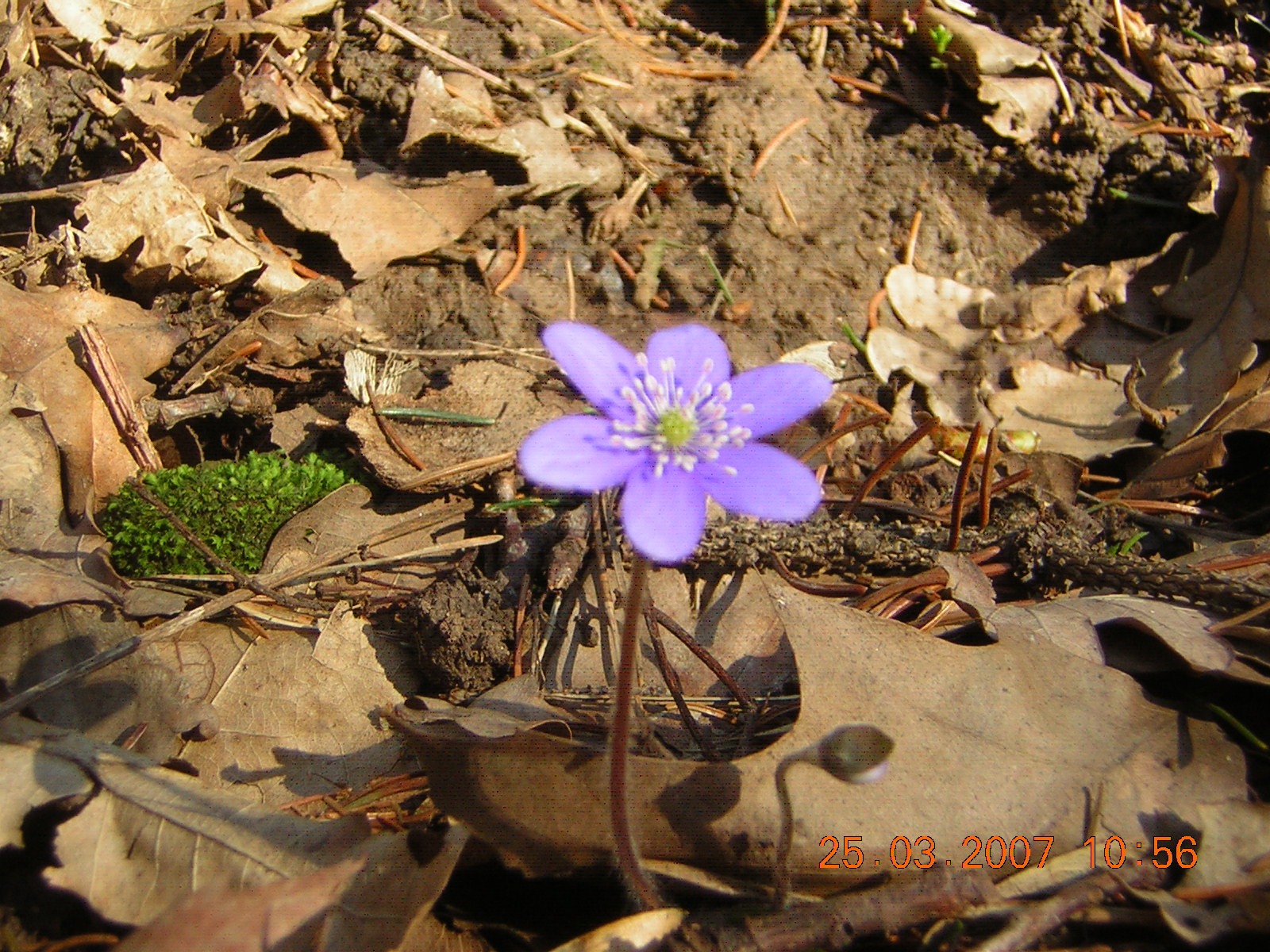 DSCN4900.JPG