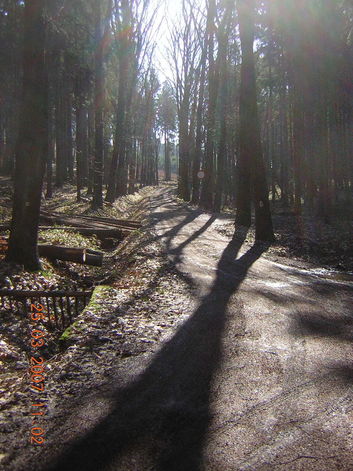 DSCN4902.jpg