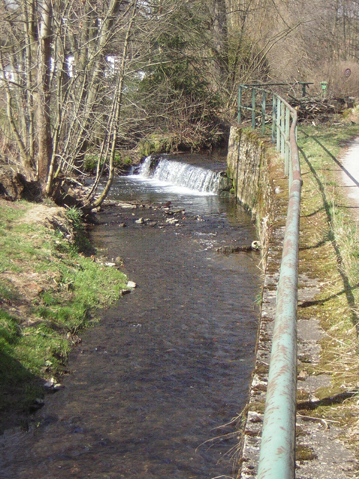 DSCN4977.jpg